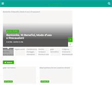Tablet Screenshot of dionidream.com